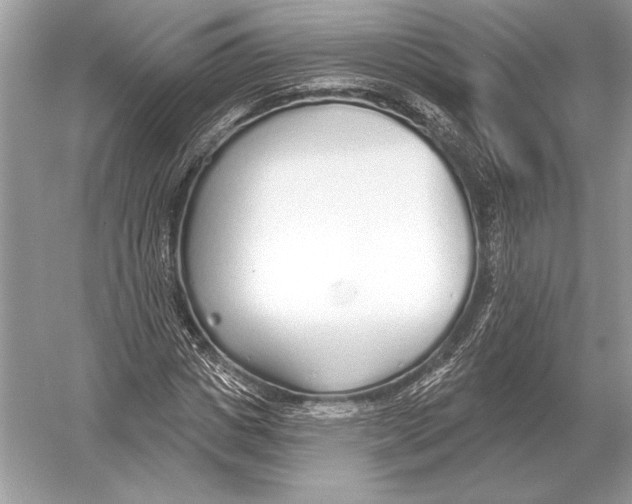 X0000051920825200507222132