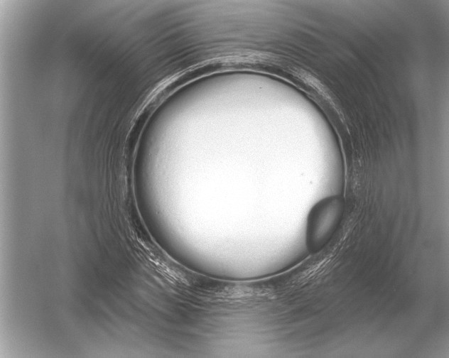 X0000051920829200507222132