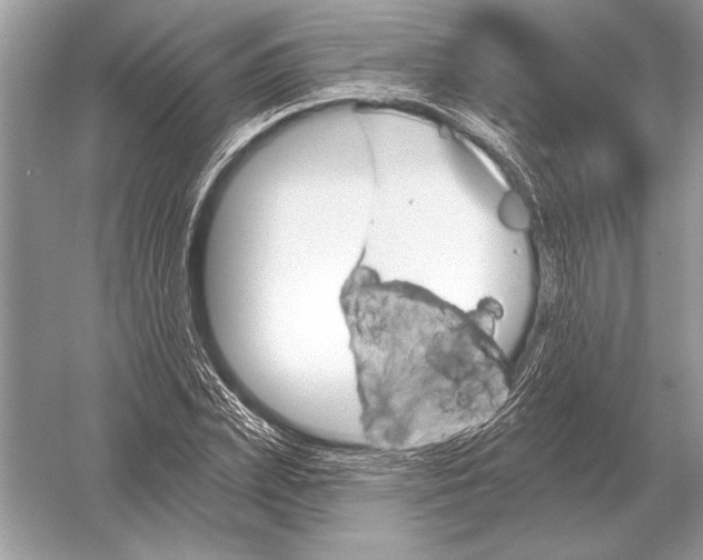 X0000051920831200507222132