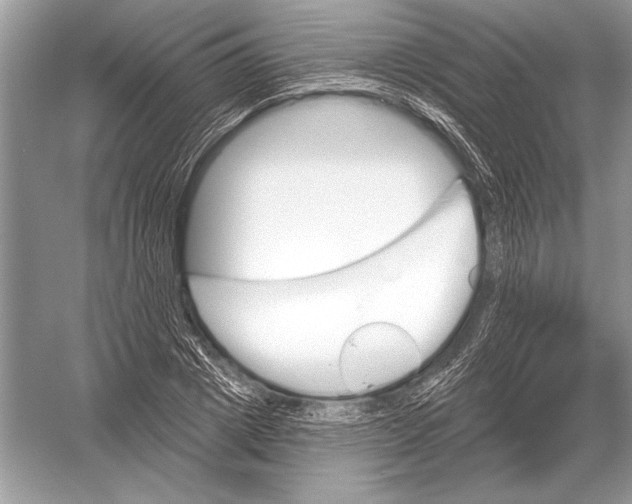 X0000051920833200507222132