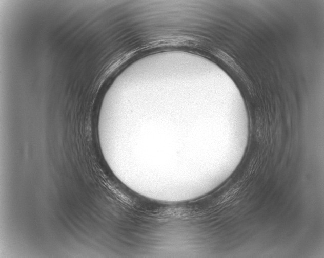 X0000051920834200507222132