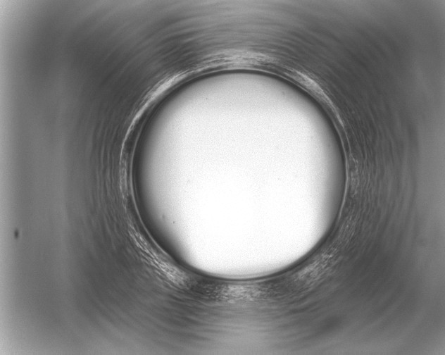 X0000051920835200507222132