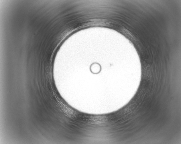 X0000051920836200507222132