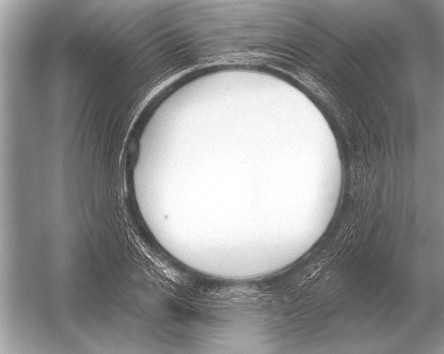 X0000051920838200507222132