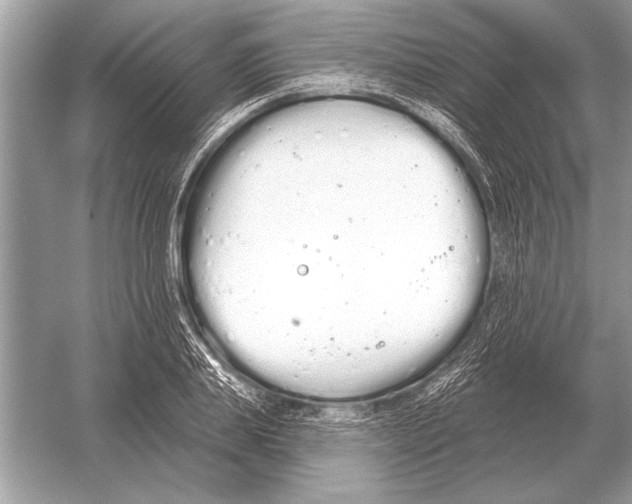 X0000051920839200507222132