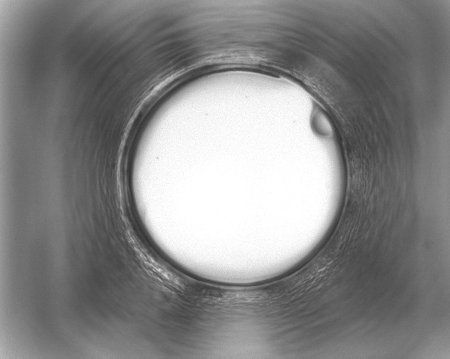 X0000051920840200507222132