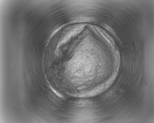 X0000051920842200507222132