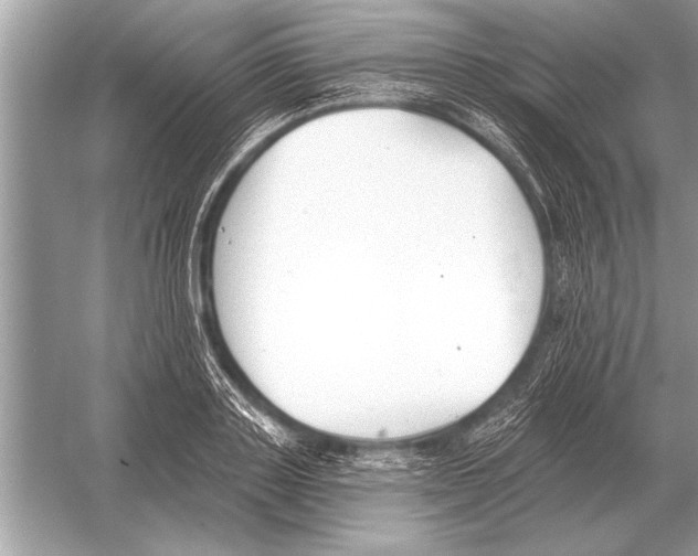 X0000051920843200507222132