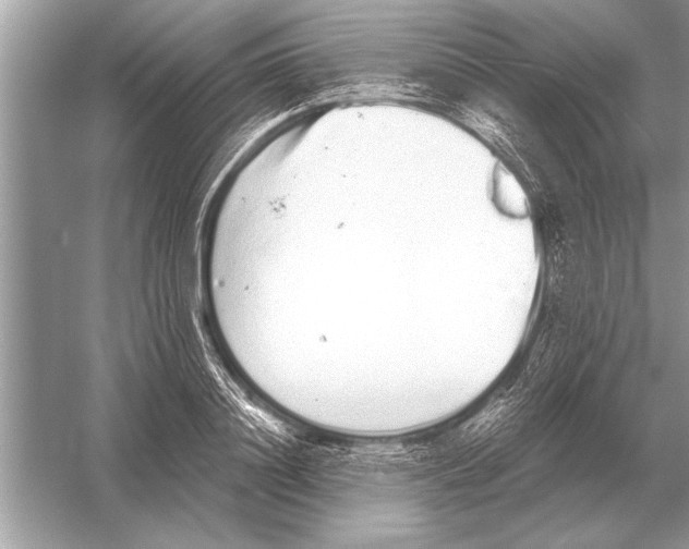 X0000051920844200507222132