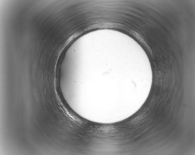 X0000051920845200507222132