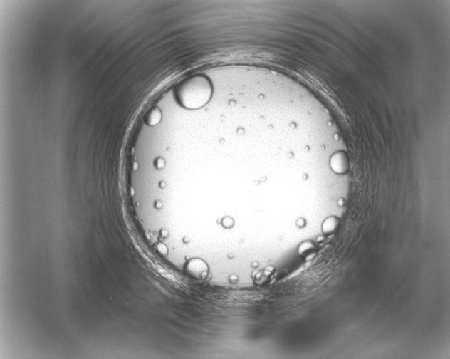 X0000051920848200507222132