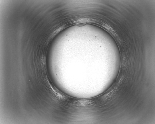 X0000051920849200507222132