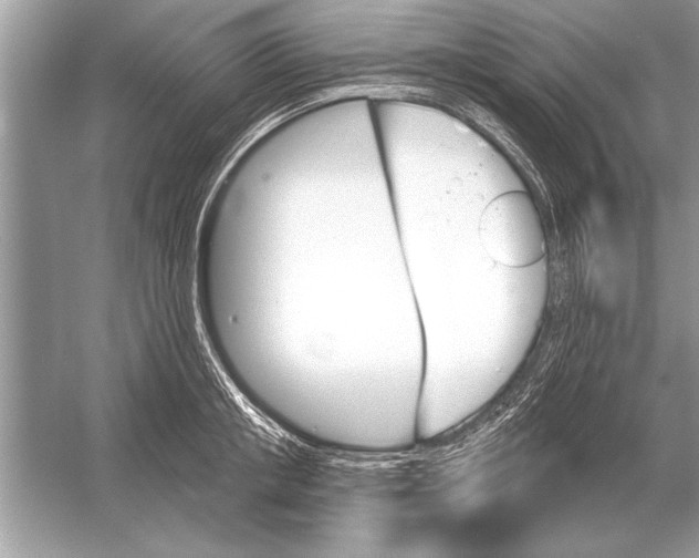 X0000051920853200507222132