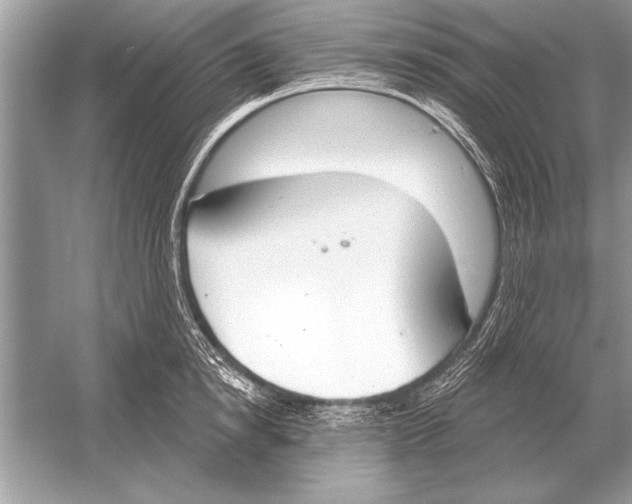 X0000051920854200507222132