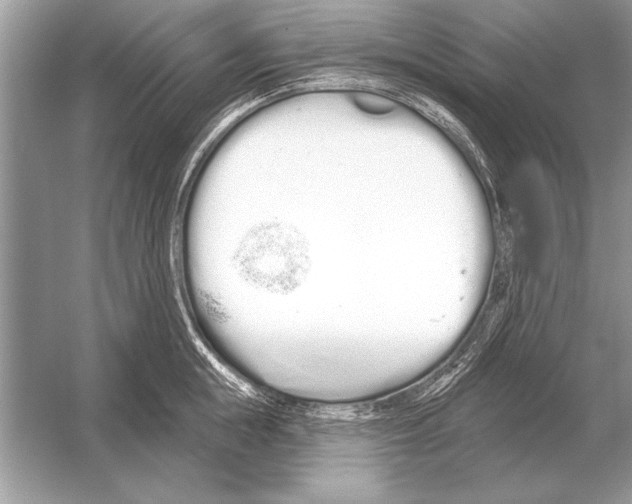 X0000051920855200507222132