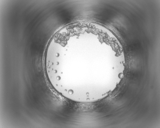 X0000051920856200507222132