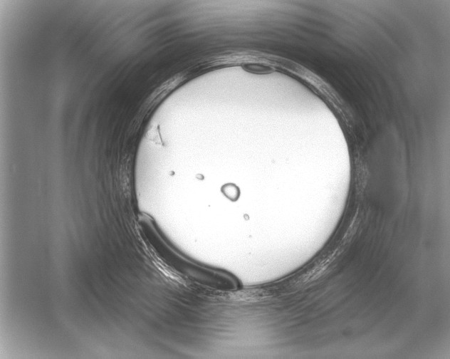 X0000051920857200507222132