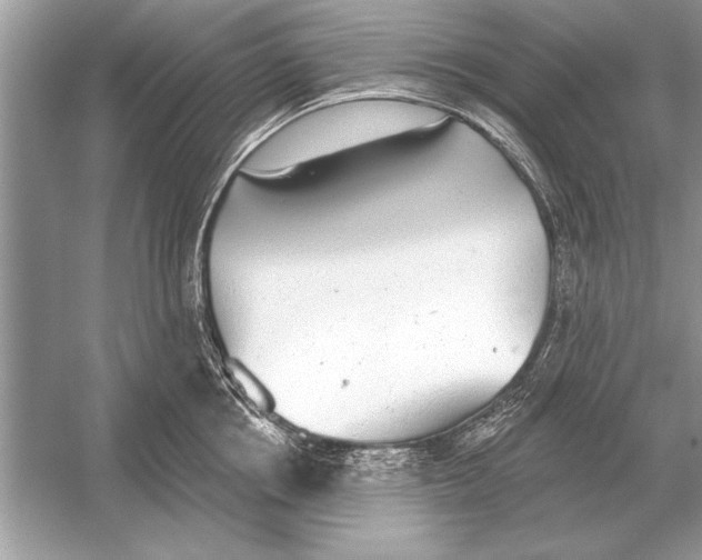 X0000051920858200507222132