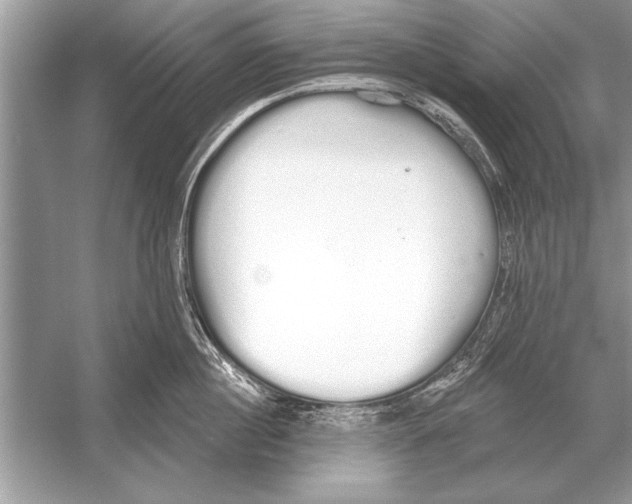 X0000051920860200507222132