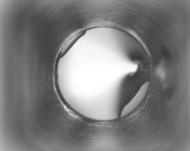 X0000051920861200507222132