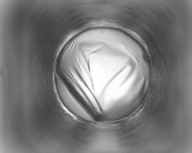 X0000051920863200507222133