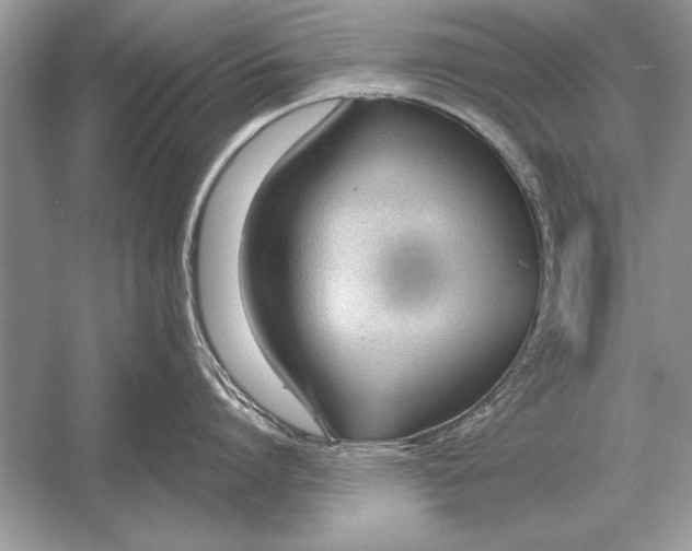 X0000051920864200507222133