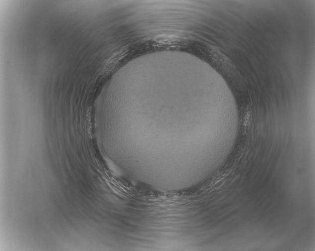 X0000051920868200507222132