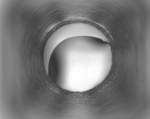 X0000051920871200507222132