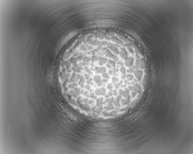 X0000051920874200507222132