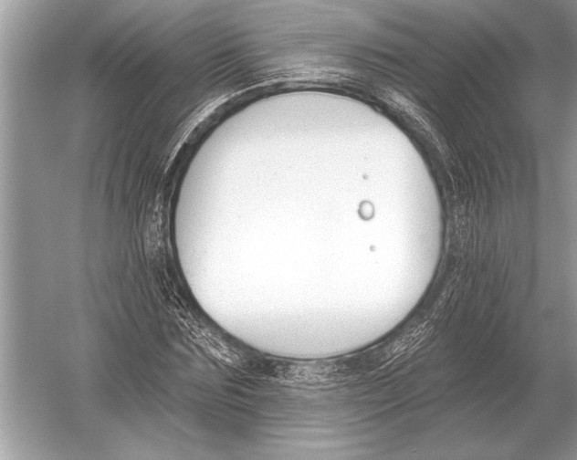 X0000051920875200507222132