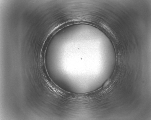 X0000051920876200507222132