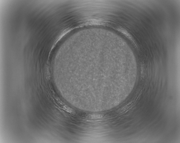 X0000051920878200507222132