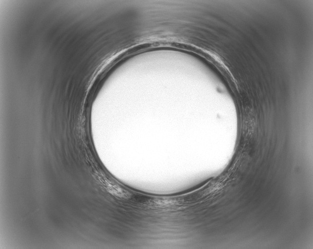 X0000051920879200507222131