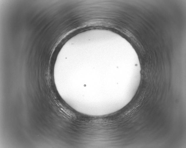 X0000051920880200507222131