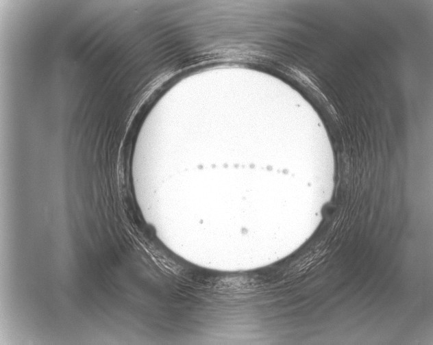 X0000051920883200507222131