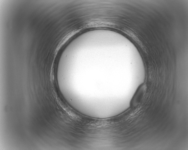 X0000051920885200507222131