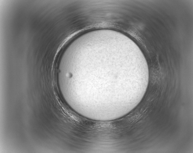 X0000051920886200507222131