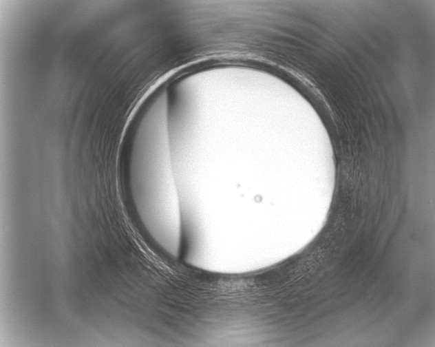 X0000051920887200507222131