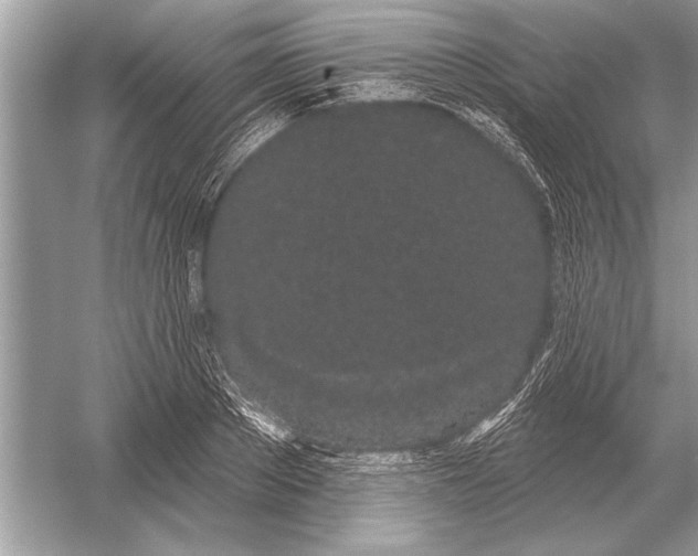 X0000051920889200507222131