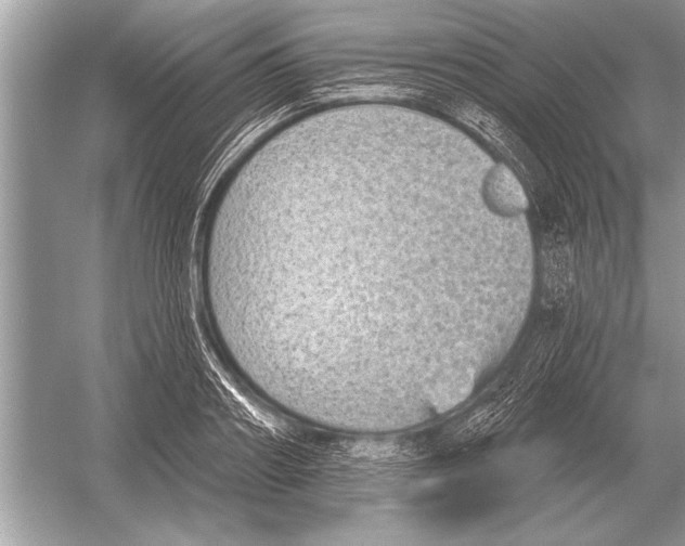 X0000051920890200507222131