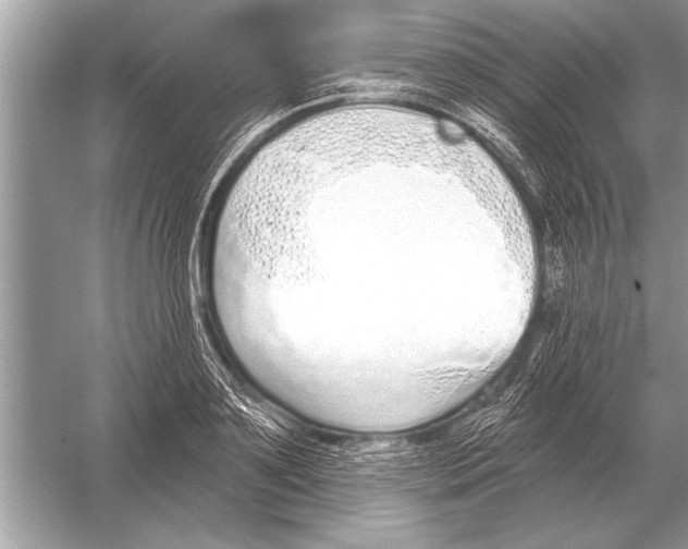 X0000051920891200507222131