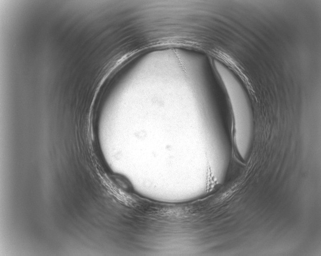 X0000051920892200507222131