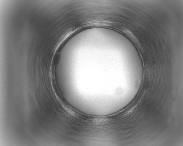 X0000051920893200507222131