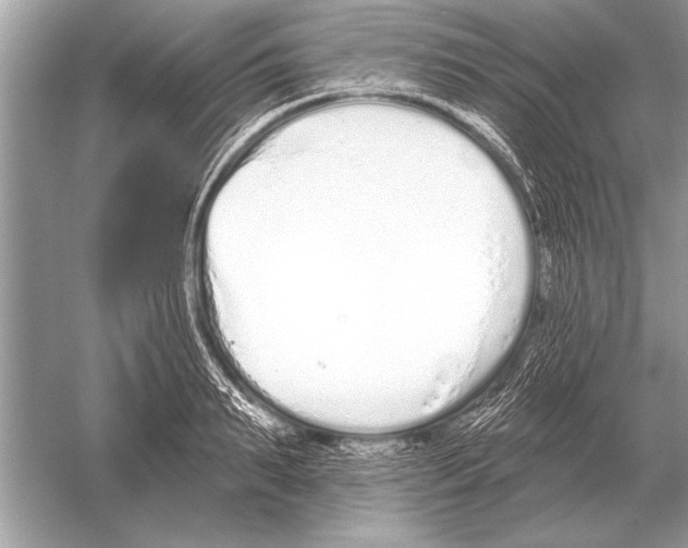 X0000051920895200507222131