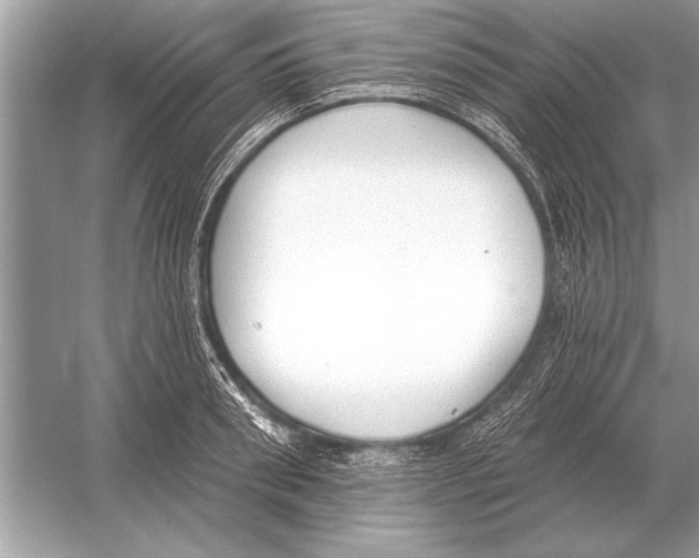 X0000051920898200507222131