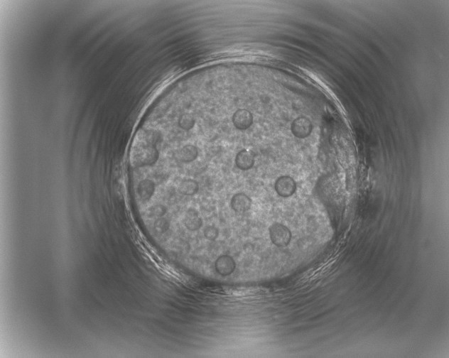 X0000051920899200507222131