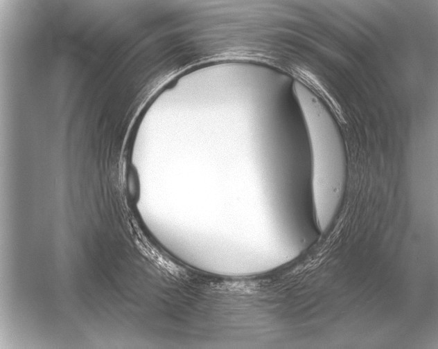 X0000051920900200507222131