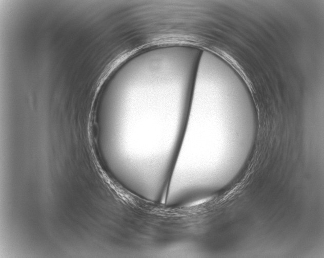 X0000051920901200507222131