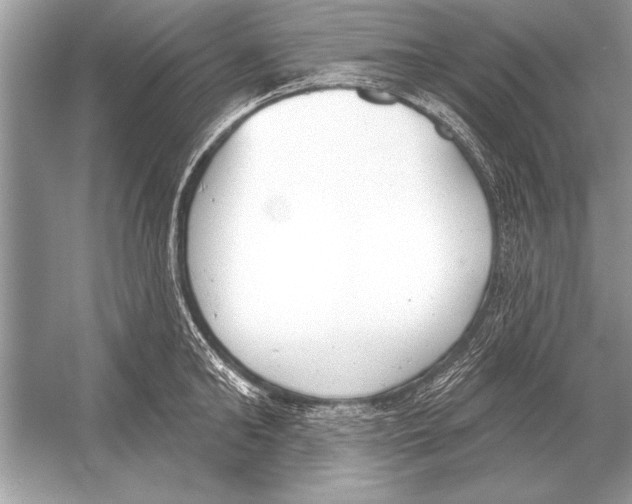 X0000051920902200507222131