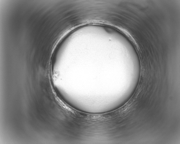 X0000051920903200507222131